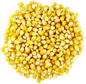 SHELLCORN50#