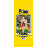 YELLOW30BIRDSEED