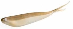 ZOOM SUPER FLUKE 10PK ARK SHNR