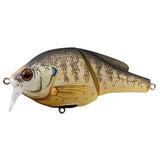 LIVE TARGET BLUEGILL WAKE