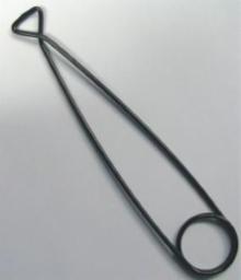 FMS