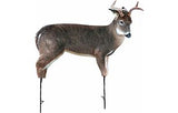 MONTANA DECOY BUCK