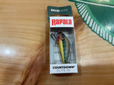 RAPCDE55GDVR