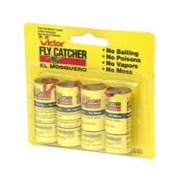 056984 FLY CATCHERS